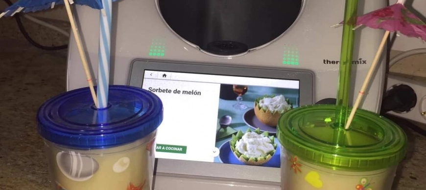 SORBETE DE MELÓN CON THERMOMIX EN RIBERA DEL FRESNO