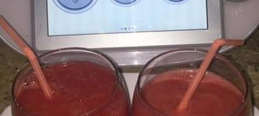 ZUMO DE SANDIA CON THERMOMIX EN RIBERA DEL FRESNO