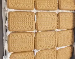 Step <p>Cubrimos con la mezcla toda la base de las galleta, términos con otra base de galletas. </p><p>Tapamos con film transparente el molde y ponemos en el congelador durante 3 ó 4 horas hasta la hora de servir. </p> illustration