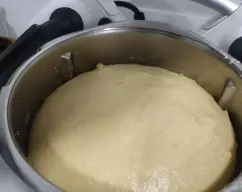 Step <p>MASA MADRE</p><p>1. Coloque un bol sobre la tapa del vaso con la levadura, añada al bol el agua y la harina, mezcle bien con la espátula y deje reposar cubierto con film durante 30-40 minutos.</p><p>MASA</p><p>Ponga en el vaso los chocolates y las nueves, trocee 10 seg/vel 4.</p><p>Ponga en el vaso la harina, la levadura, el azúcar, 2 huevos, las yemas, la leche, la sal y el brandy y mezcle 10 seg/vel4.</p><p>Ponga un bol sobre la tapa del vaso y pese la mantequilla, reserve.</p><p>Añada la masa madre reservada y amase 3 min/ espiga.</p><p>Retire el cubilete y amase 2 min/espiga. Vaya añadiendo la mantequilla por la abertura. Coloque el cubilete en la tapa y deje dentro del vaso hasta que doble su volumen.</p><p><br></p><p><br></p> illustration