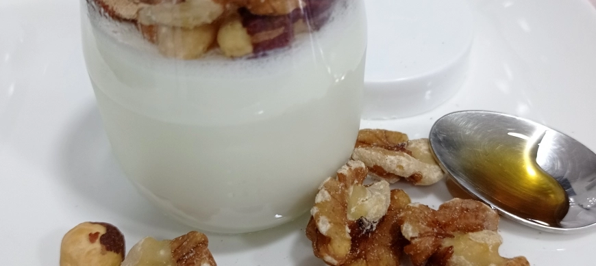 CUAJADA CON MIEL Y FRUTOS SECOS - THERMOMIX - DON BENITO - BADAJOZ