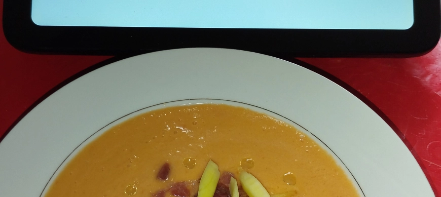 SALMOREJO DE MANGO CON THERMOMIX EN RIBERA DEL FRESNO