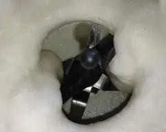 Step <p>Seguidamente lavas el vaso y lo secas bien y añades las claras la sal y el zumo de limón y programas 5-6-min/ vl.2'5</p> illustration