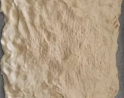 Step <p>Pon en el vaso el agua y la levadura. Calienta 1 min/37°C/vel 2.</p><p><br></p><p>-Añade la harina, 30 g de aceite y la sal y amasa 1 min/ Espiga. Retira la masa del vaso, forma una bola y deja reposar cubierta con un paño hasta que doble su volumen (aprox 15-20 minutos).</p><p><br></p> illustration