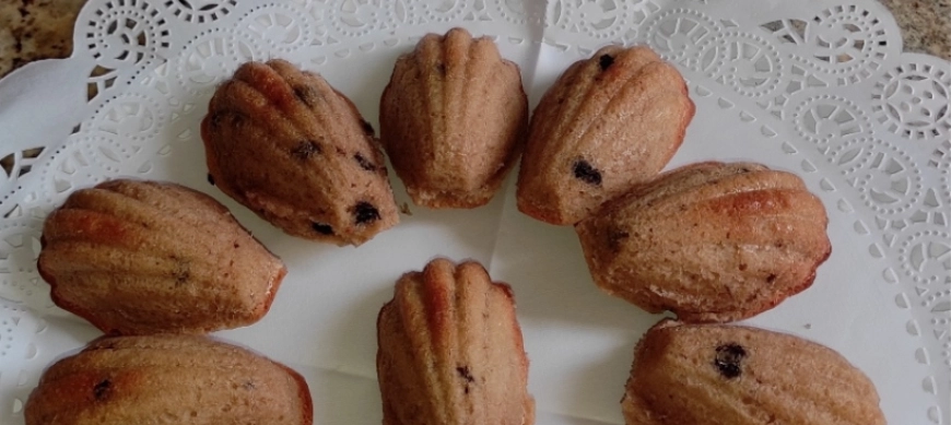 MADELEINES FRANCESAS CON THERMOMIX EN RIBERA DEL FRESNO