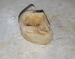 Step <p>Luego plegamos la lámina de masa como si fuera un acordeón, sin aplastarla y a continuación vamos enrollando sobre si misma en espiral como si fuese una ensaimada hasta formar un círculo que colocamos de pie en el centro del molde y así sucesivamente con el resto de las hojas de la masa.</p> illustration